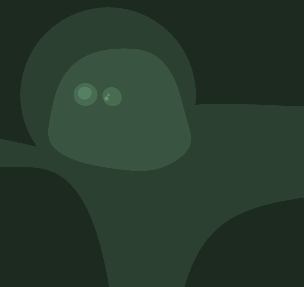 Fractale : Bonjour