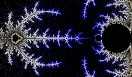 Fractale : Attraction