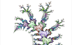 Fractale : Branches