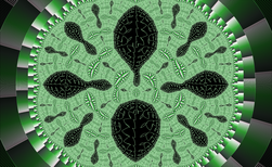 Fractale : Feuilles